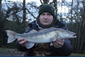 Janusz Kansik Zander 1