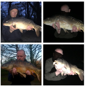 old lake mixed carp