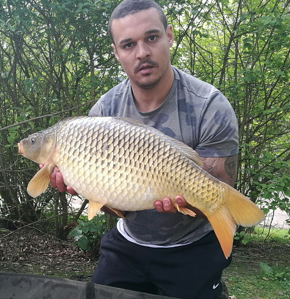 temple carp 2
