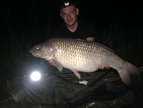 29lb common