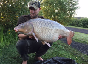 28lb Common