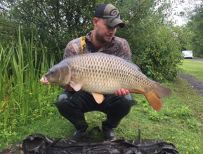 large common