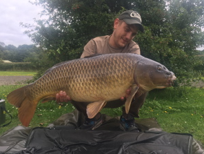 28lb Temple Common