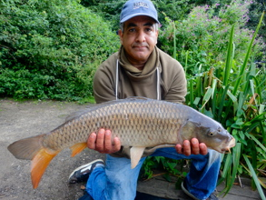Haddad fmaily carp