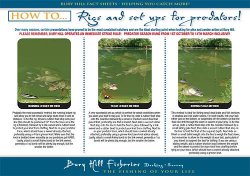 Predator Hunting Rigs High Catch More Fact Sheets - Bury Hill Angling Club