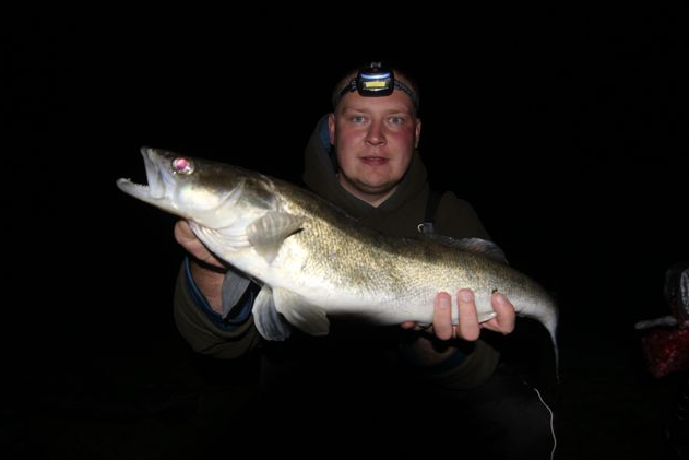 Janusz Kanisk Zander 2