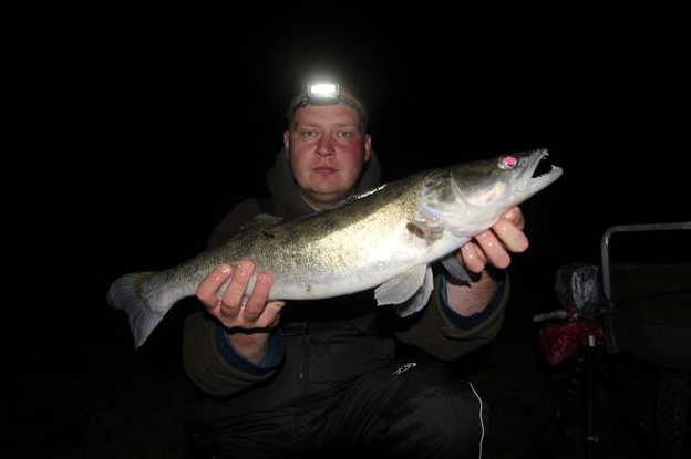 Janusz Kanisk Zander 3