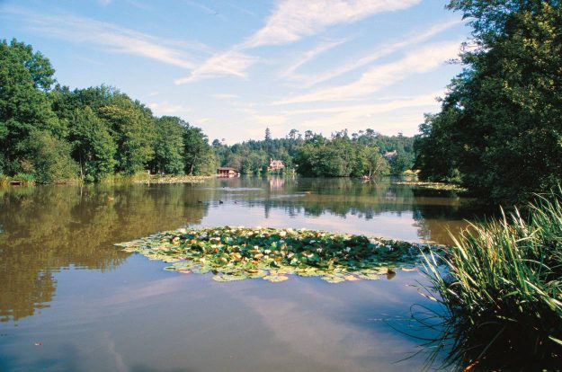 OLD LAKE SCENIC