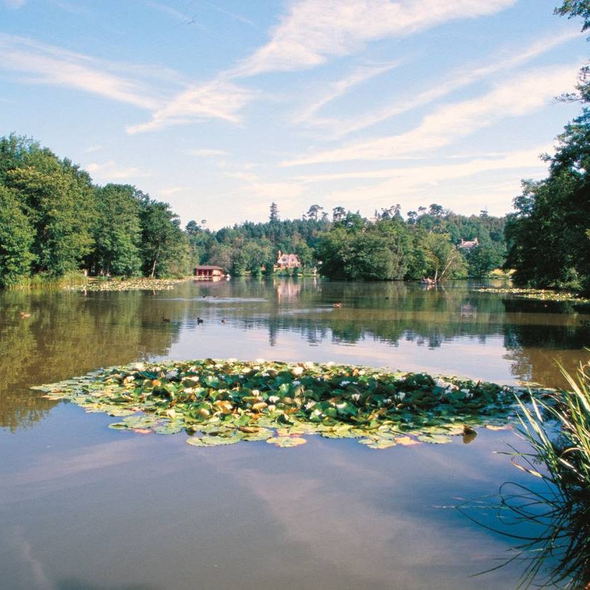OLD LAKE SCENIC