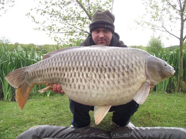 Lee Norman 33-12 common
