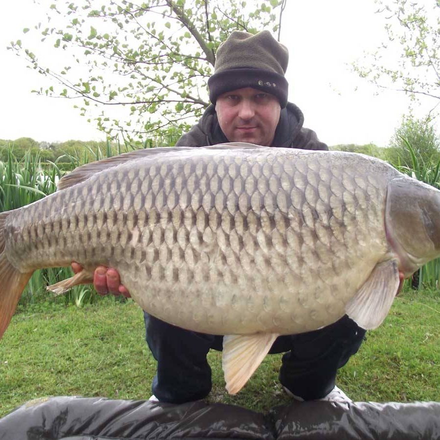 Lee Norman 33-12 common Lee Norman 33-12 common