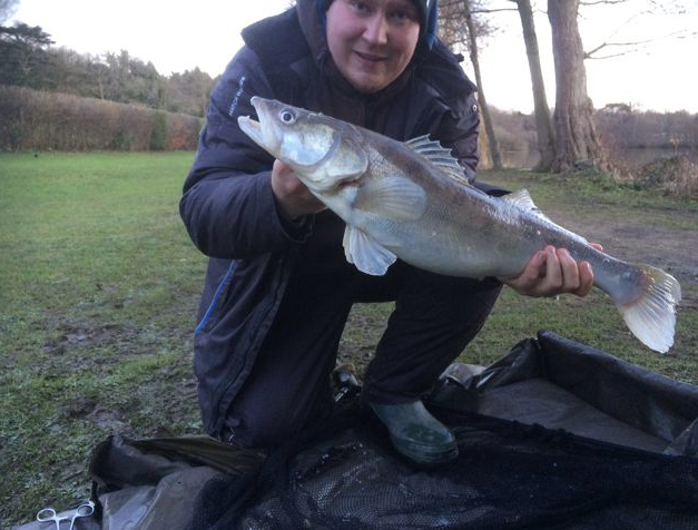 Janusz Kansik 7lb Zander