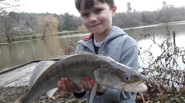 more zander to 4lb