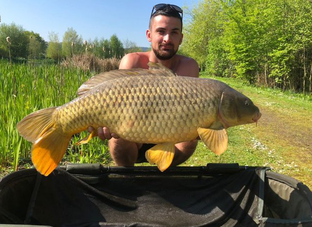 24lb