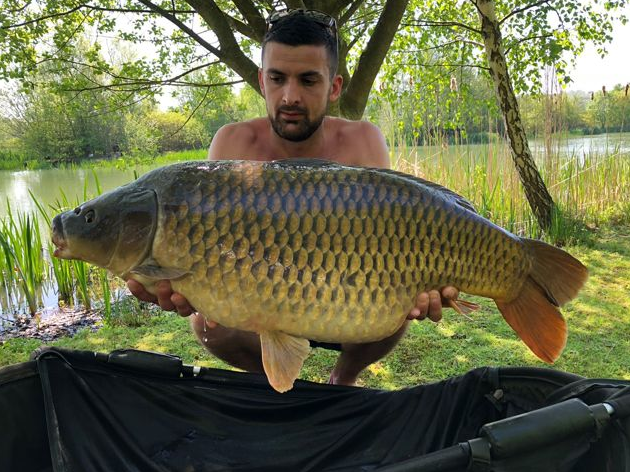 33lb 2oz