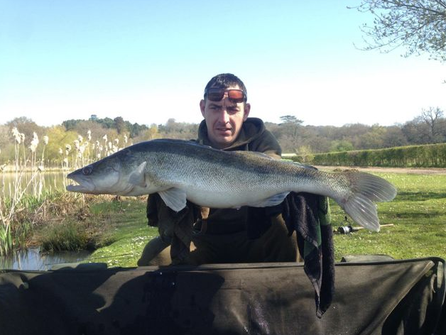 Aaron Warner 10lb 8oz