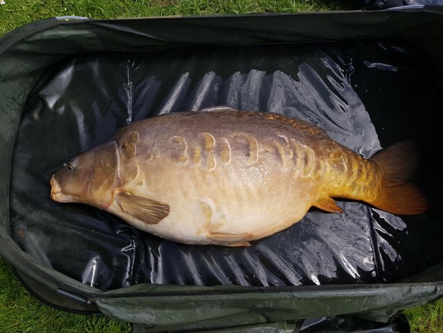 Chris Spencer Nemo 44lb 11oz 2