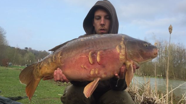 Jo Concanon Red Mirror 25lb