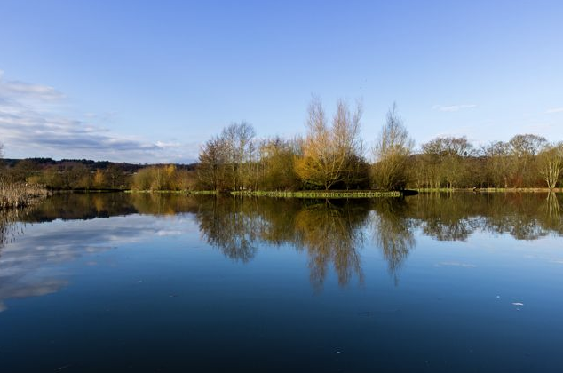 Lake at sunrise