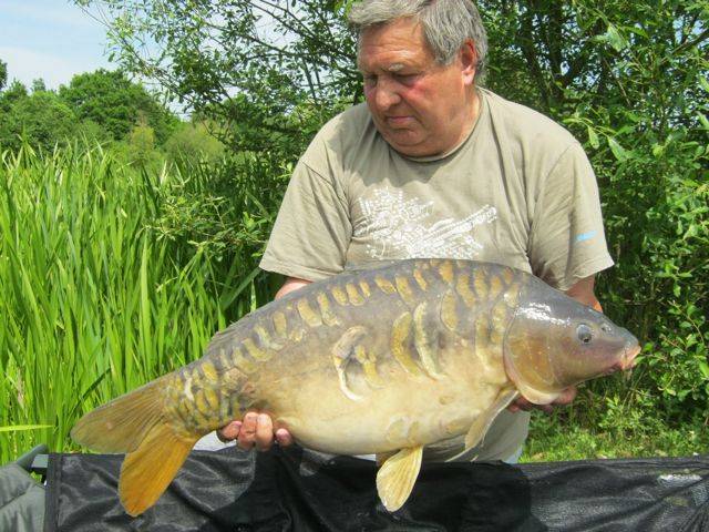 Ray Harding 20