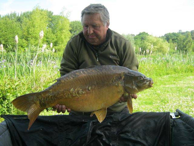 Ray Harding 22lb 8