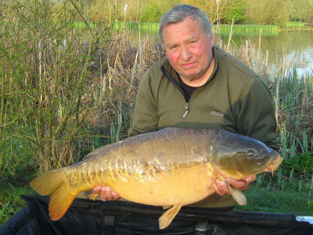 Ray Harding 24
