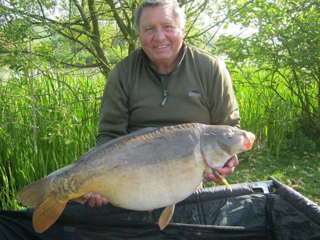 Ray Harding 27