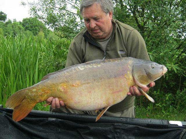 Ray Harding 31