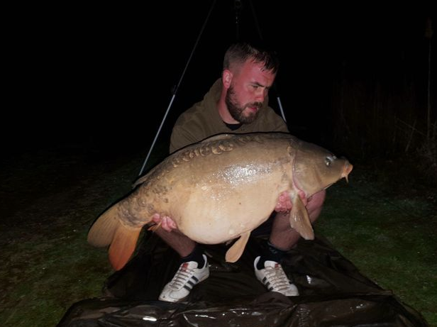 Temple carp 2