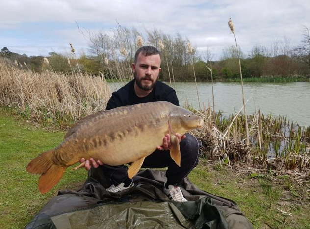 Temple carp