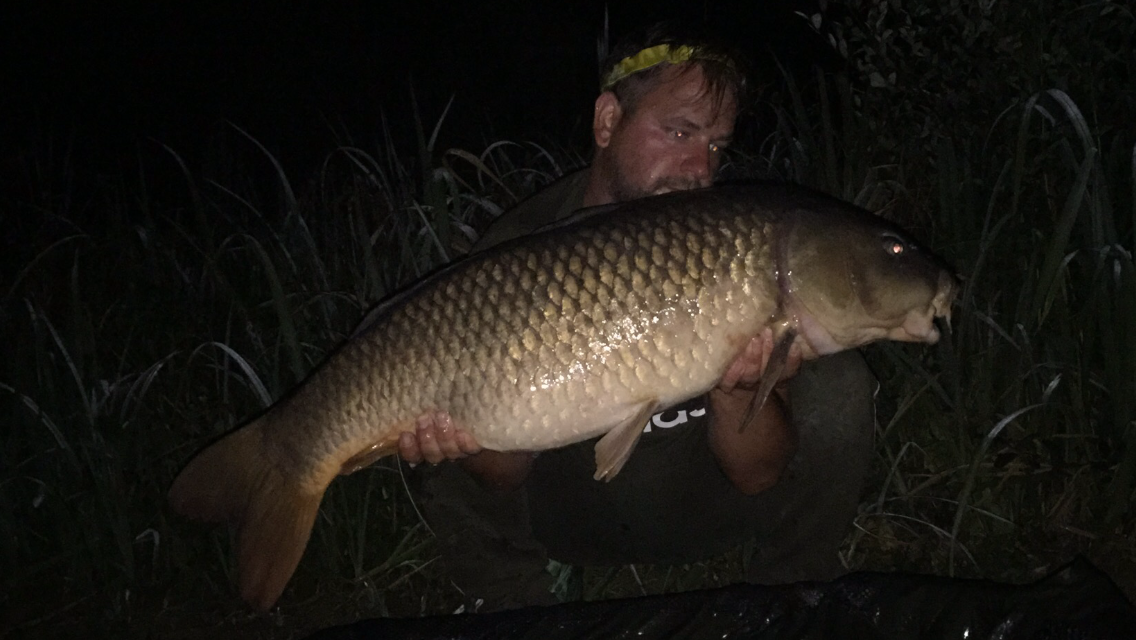Matt White 25 lb