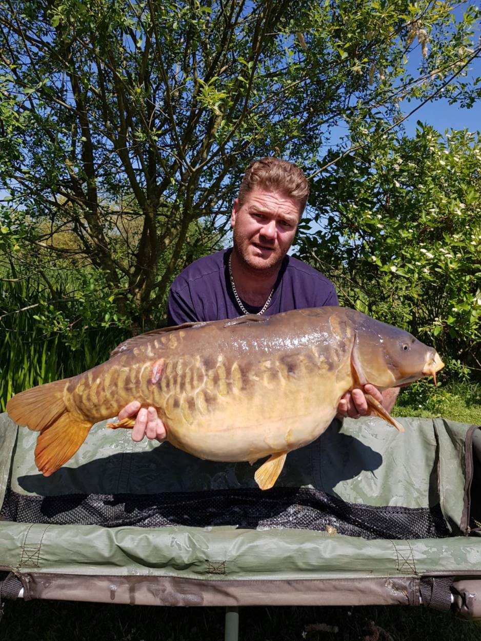 Terry Baker Double Row Linear at 39 lb