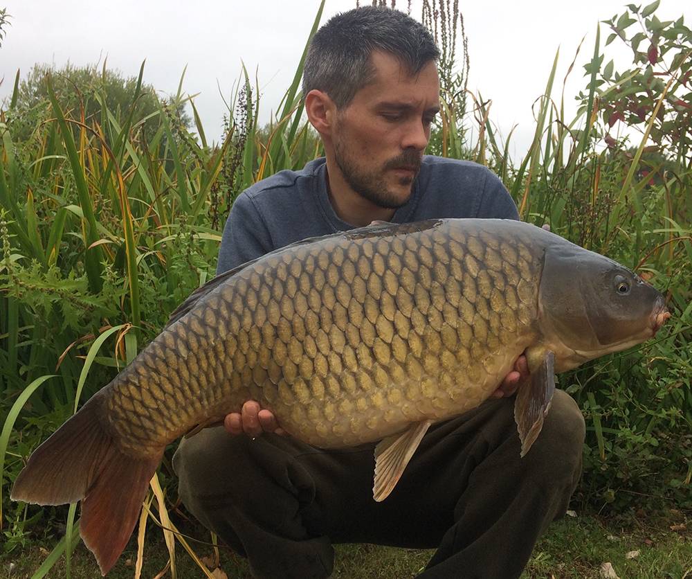 Dave Hall 21 lb