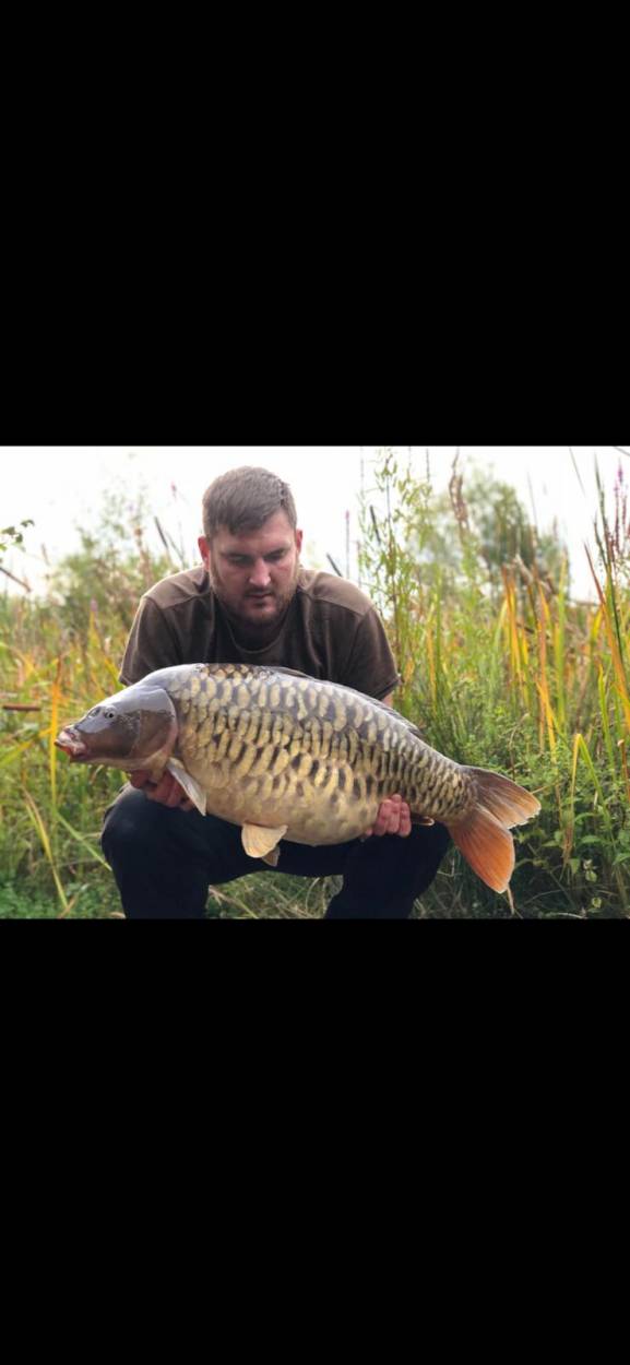 Sam Sawyers 26 lb