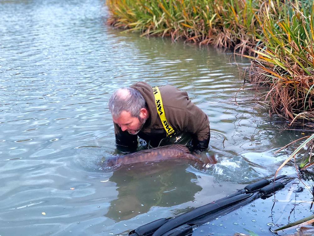 Tony Sawyers with Nemo at 44 lb 1 oz 5