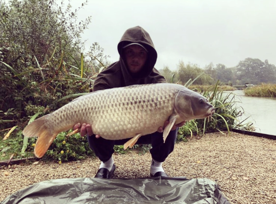 Sam Brett 29 lb common