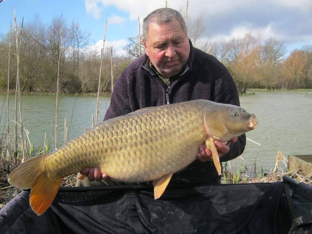 Ray Harding 24 lb