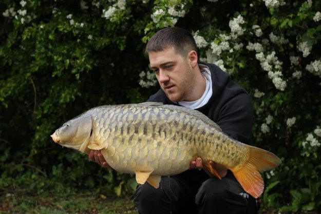 Adam Rogers 19 lb temple
