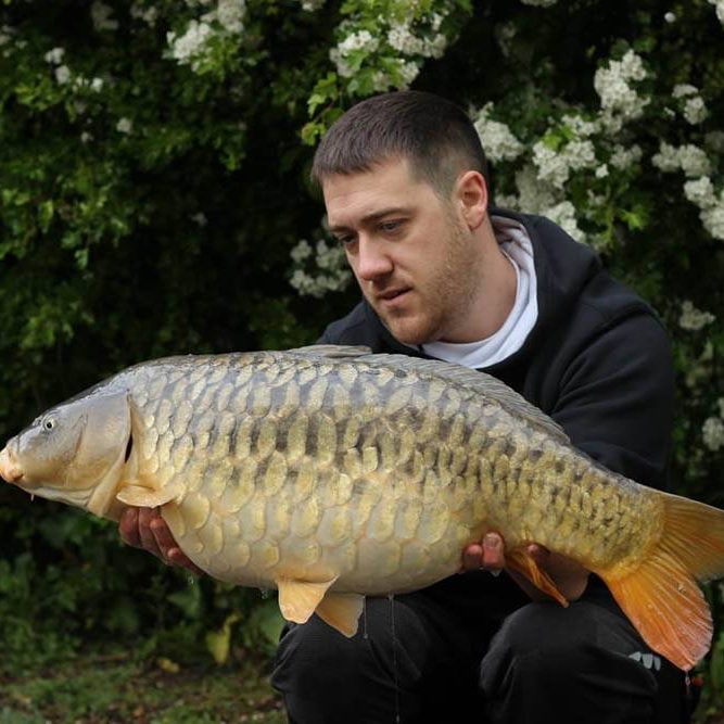 Adam Rogers 19 lb temple