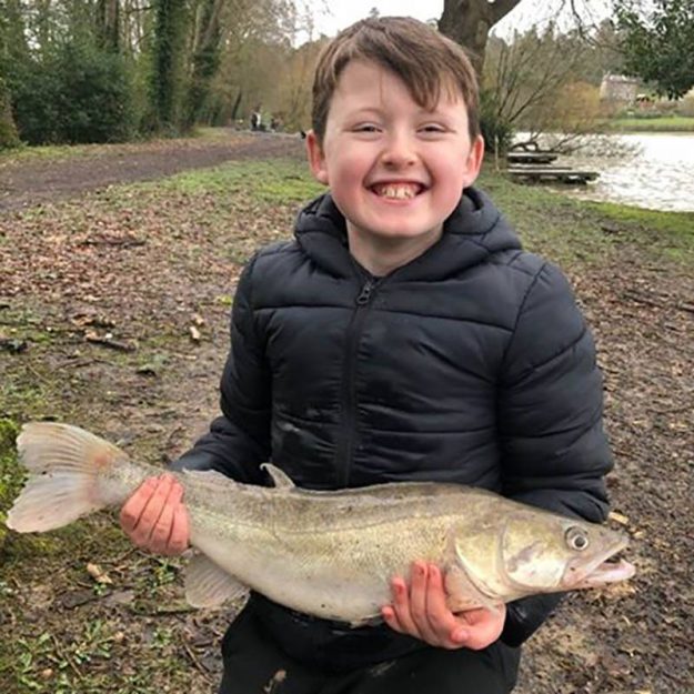 Sid 6 lb
